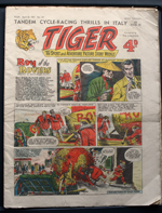 About Tiger